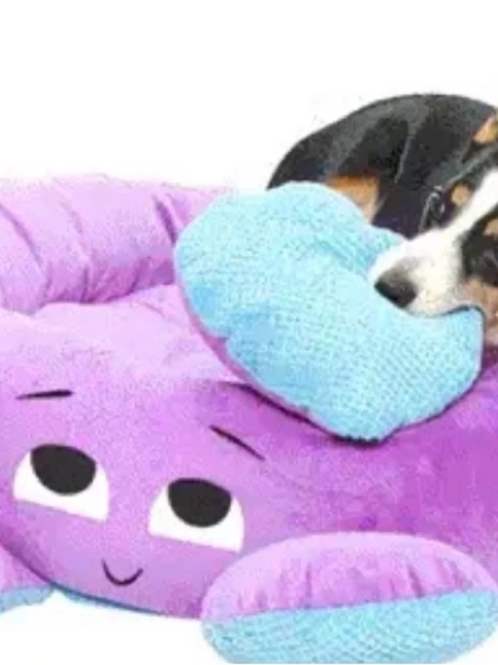 Large octopus dog bed
